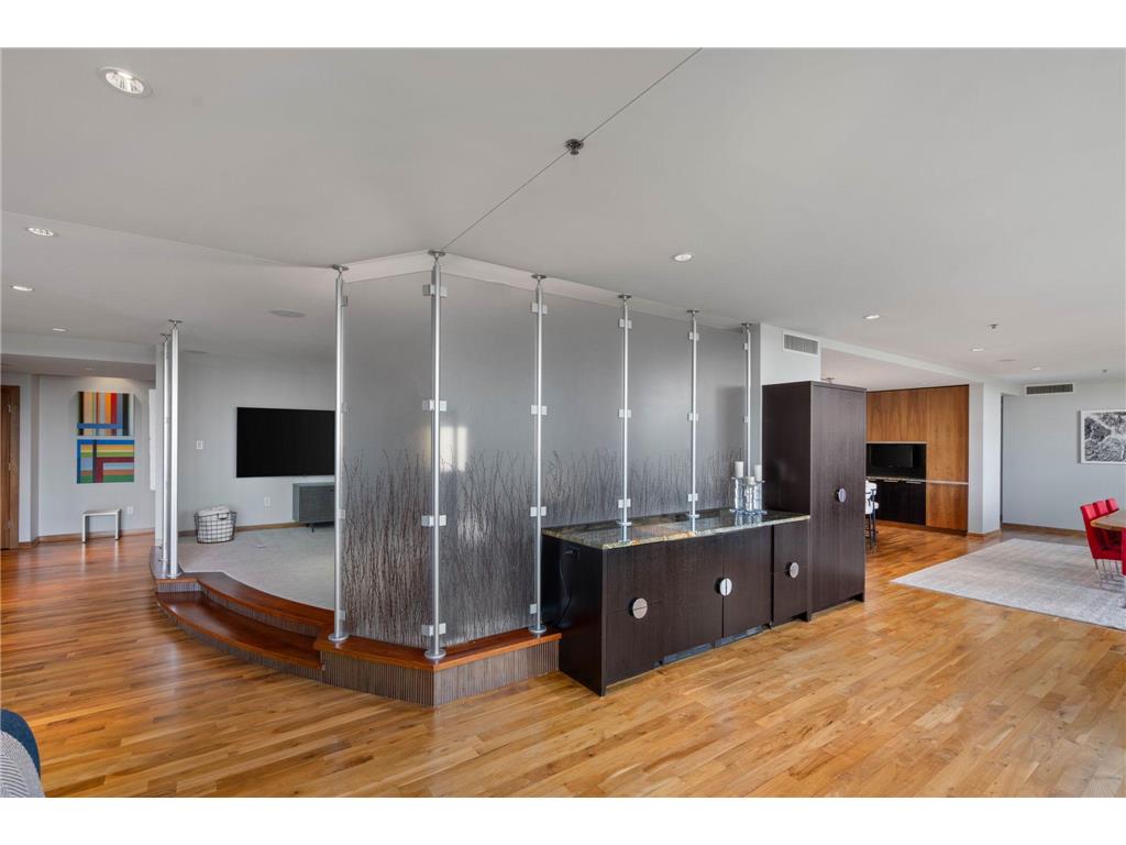 215 10th Avenue S #910 Minneapolis MN 55415 7049610 image23