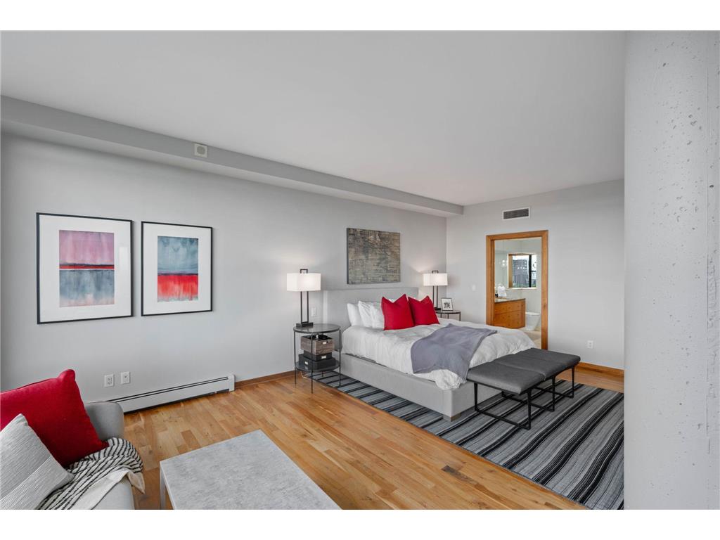 215 10th Avenue S #910 Minneapolis MN 55415 7049610 image29