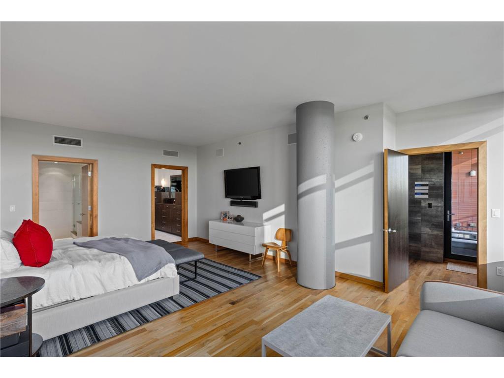 215 10th Avenue S #910 Minneapolis MN 55415 7049610 image30