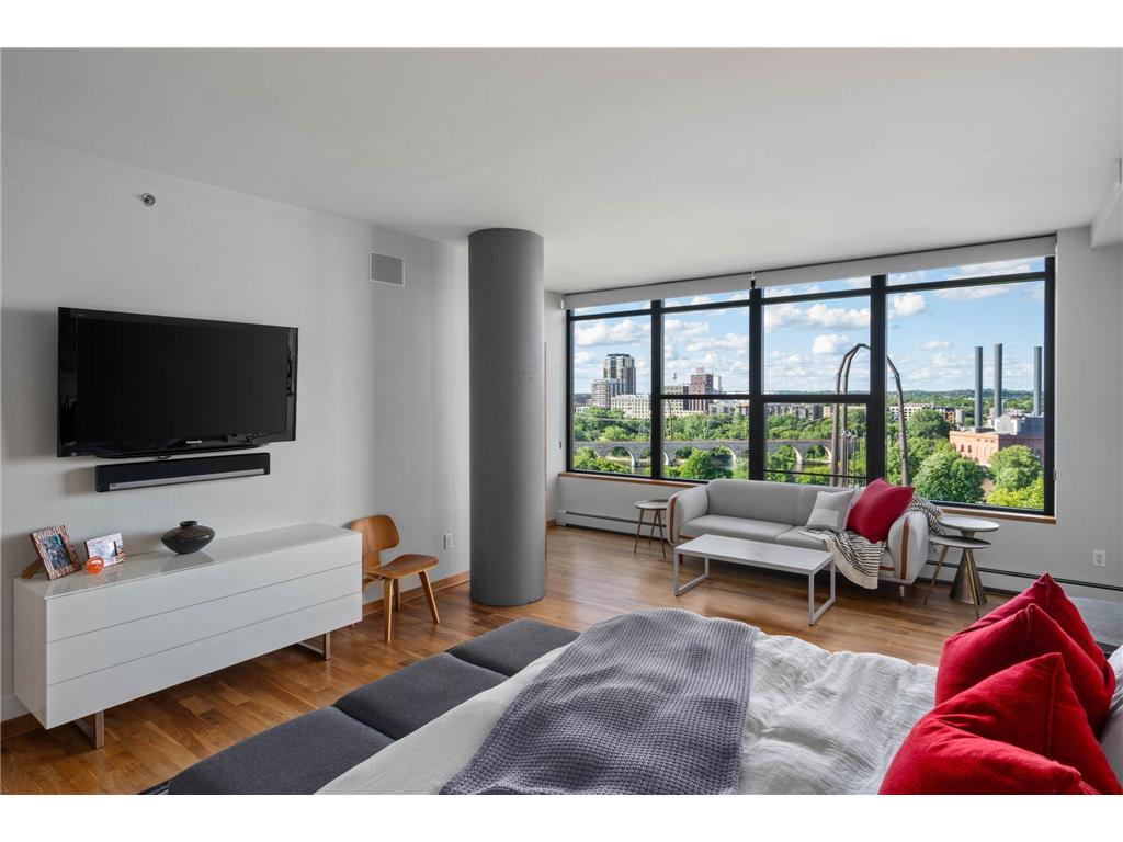 215 10th Avenue S #910 Minneapolis MN 55415 7049610 image32