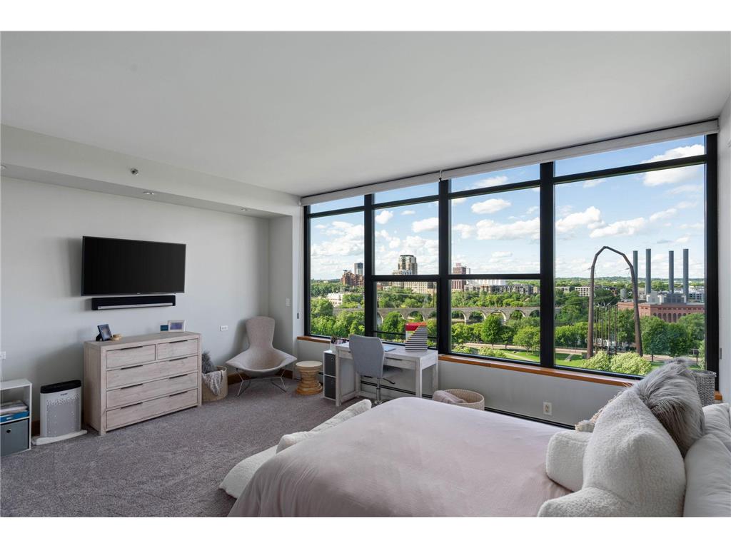215 10th Avenue S #910 Minneapolis MN 55415 7049610 image38