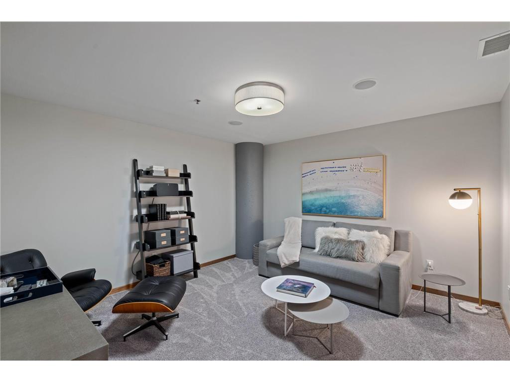215 10th Avenue S #910 Minneapolis MN 55415 7049610 image47