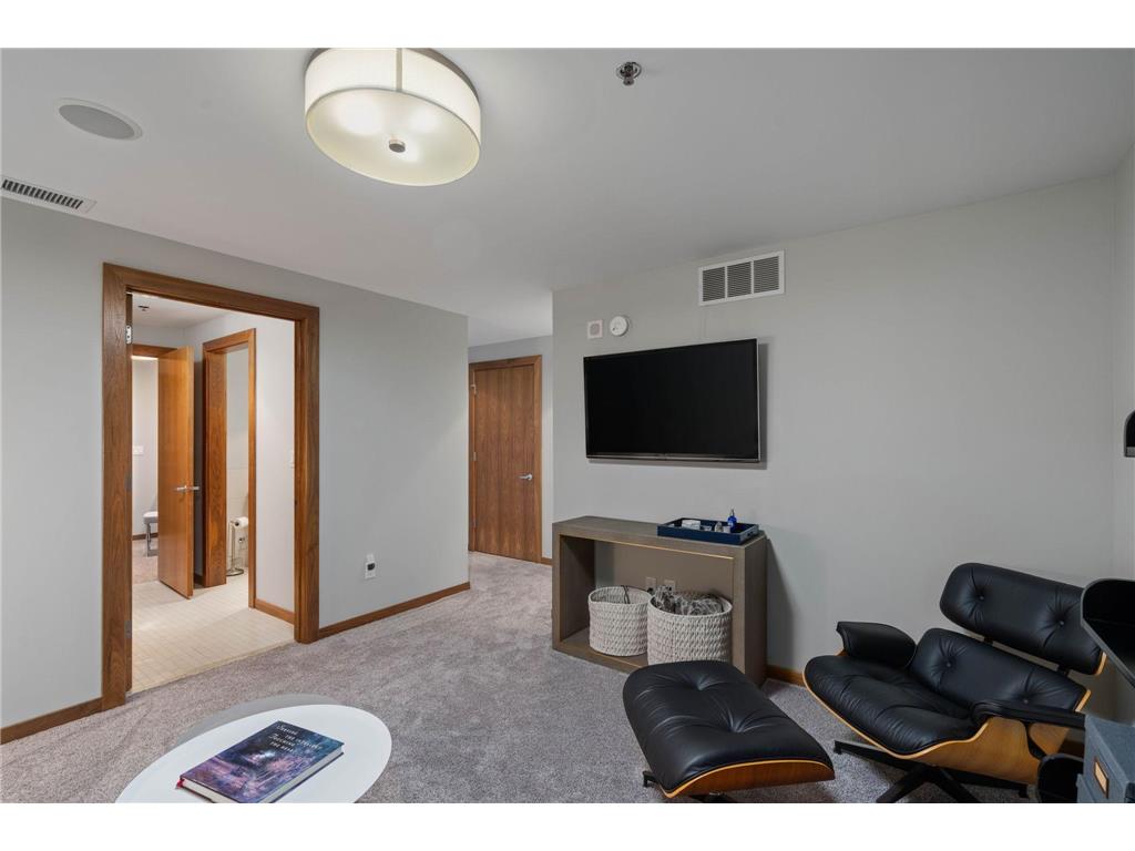 215 10th Avenue S #910 Minneapolis MN 55415 7049610 image48