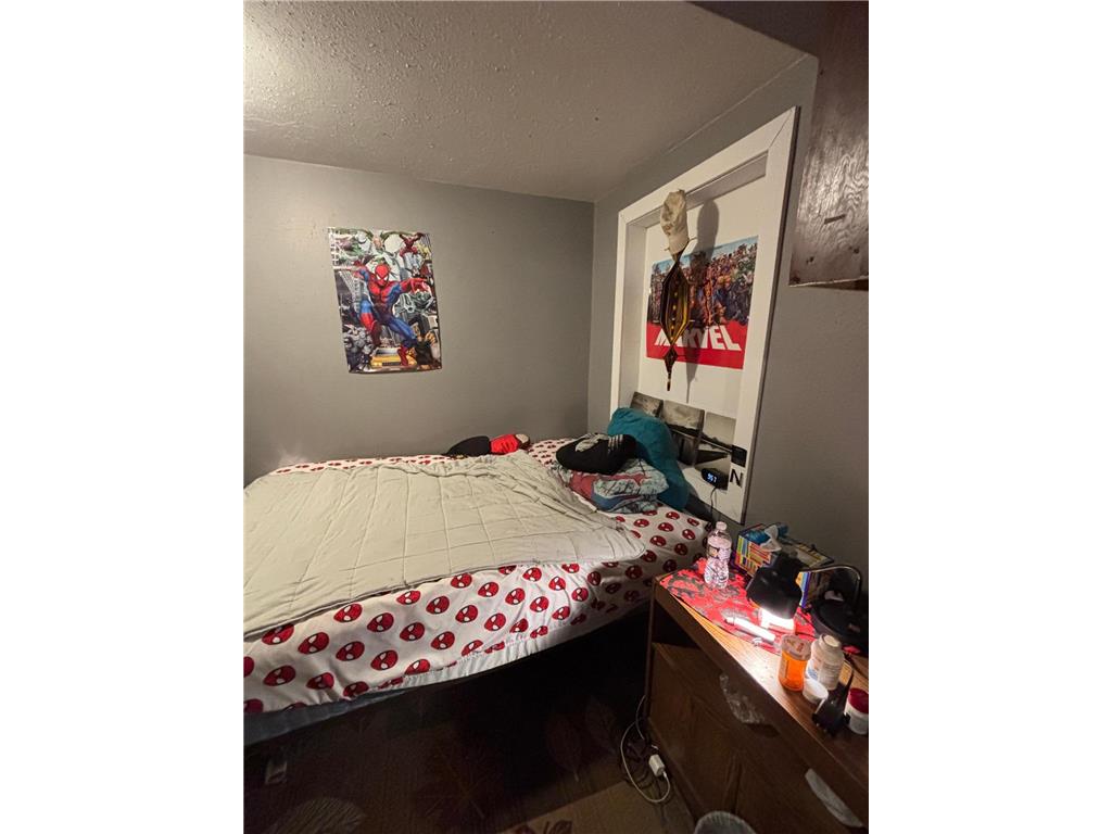 215 9th Street NW Bemidji MN 56601 6729544 image8