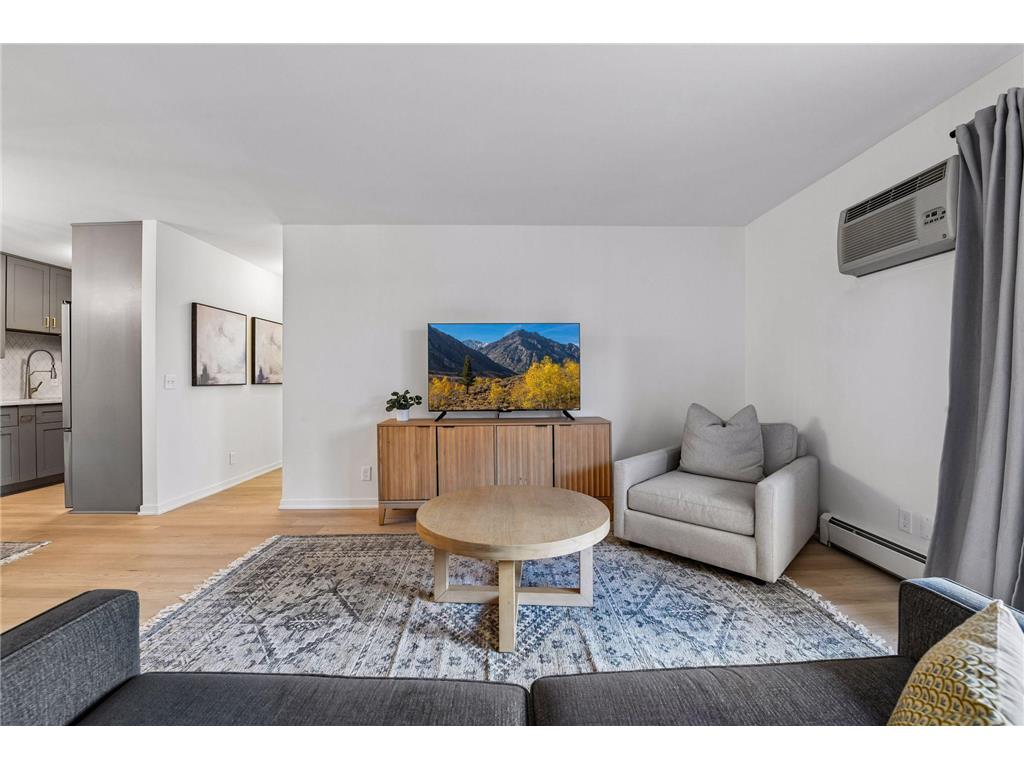 215 Barry Avenue S #202 Wayzata MN 55391 7054284 image10