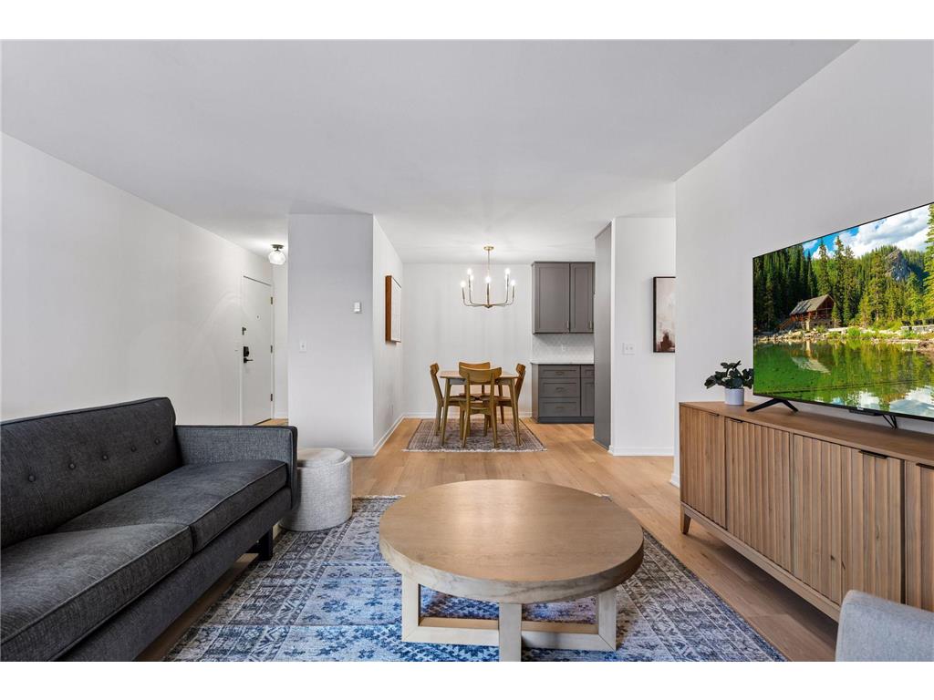 215 Barry Avenue S #202 Wayzata MN 55391 7054284 image14