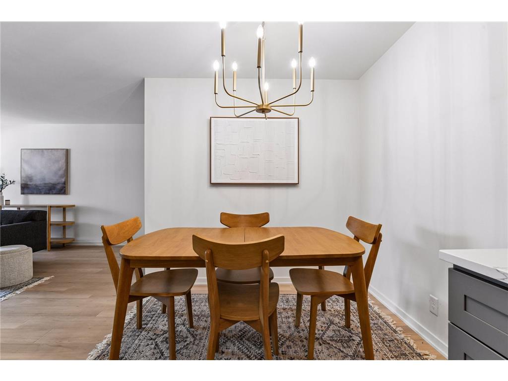 215 Barry Avenue S #202 Wayzata MN 55391 7054284 image22