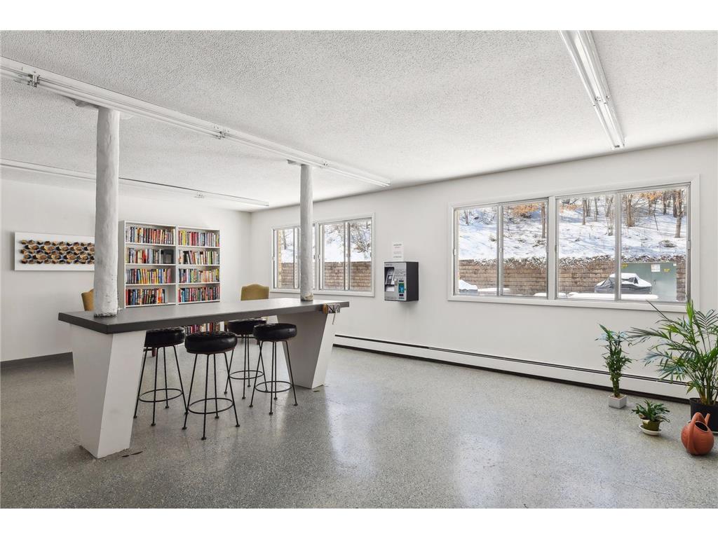 215 Barry Avenue S #202 Wayzata MN 55391 7054284 image44