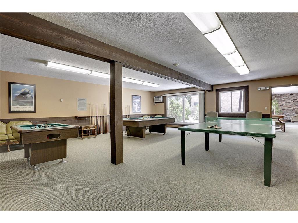 215 Barry Avenue S #202 Wayzata MN 55391 7054284 image46