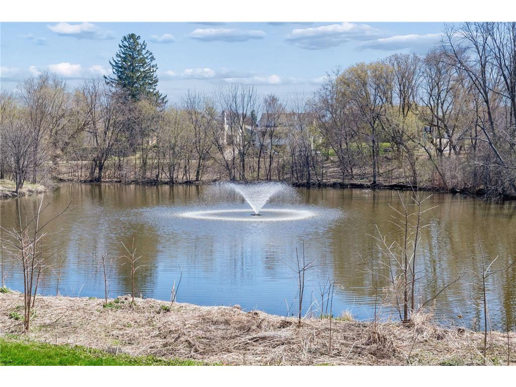 215 Barry Avenue S #202 Wayzata MN 55391 7054284 image65