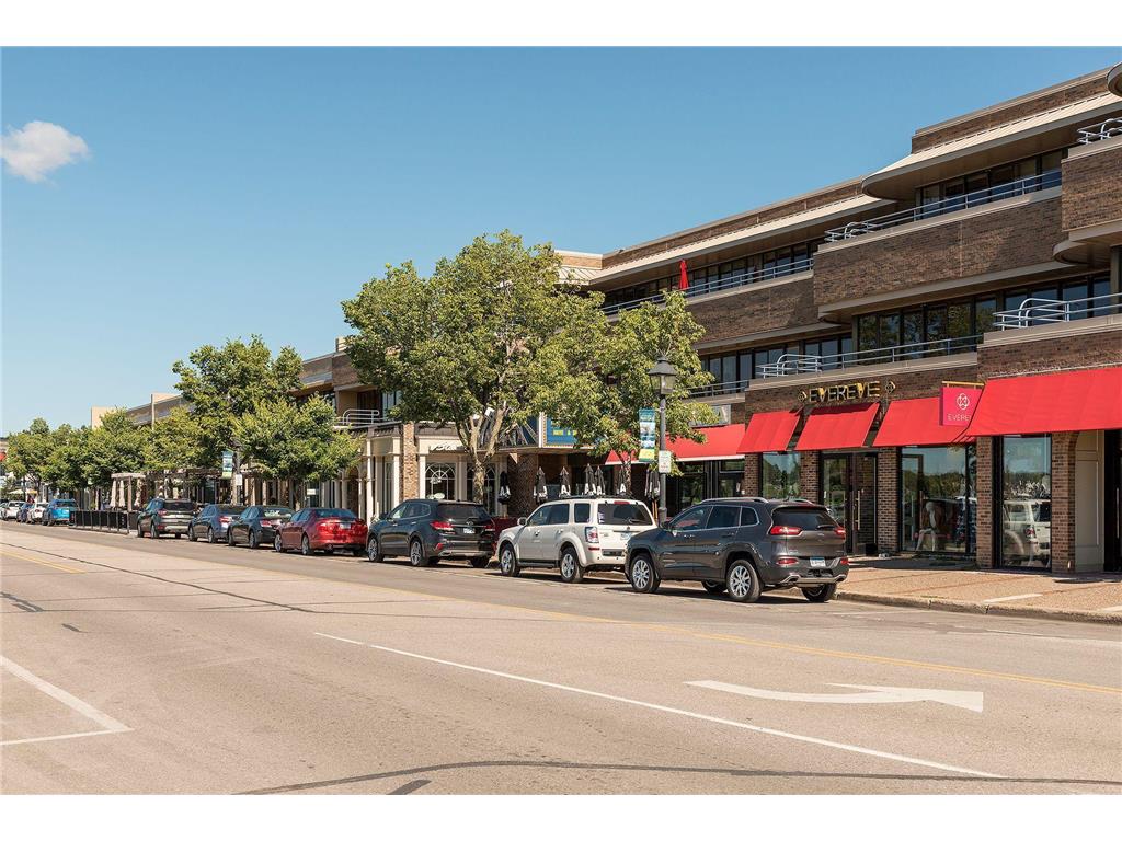 215 Barry Avenue S #202 Wayzata MN 55391 7054284 image79