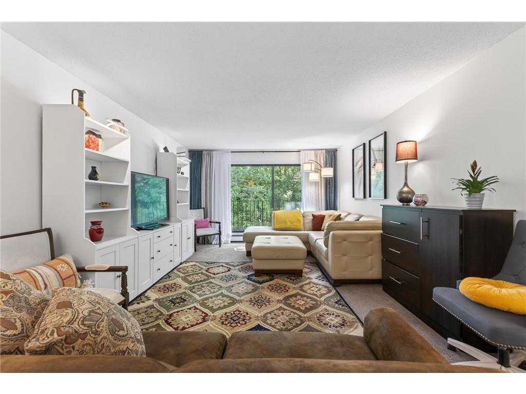 215 Barry Avenue S #216 Wayzata MN 55391 7079071 image1