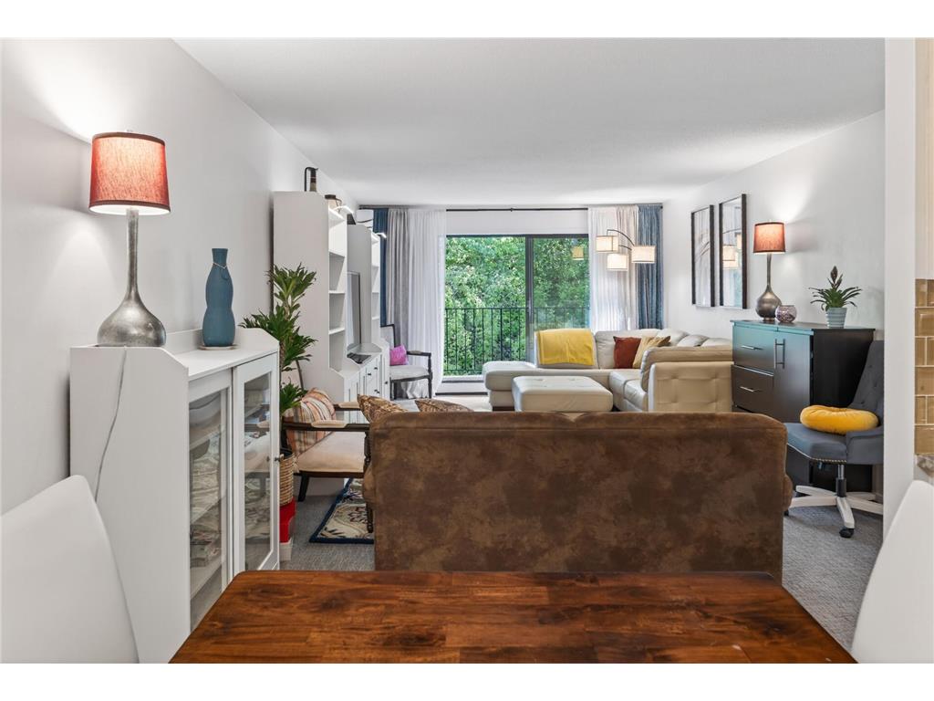 215 Barry Avenue S #216 Wayzata MN 55391 7079071 image11
