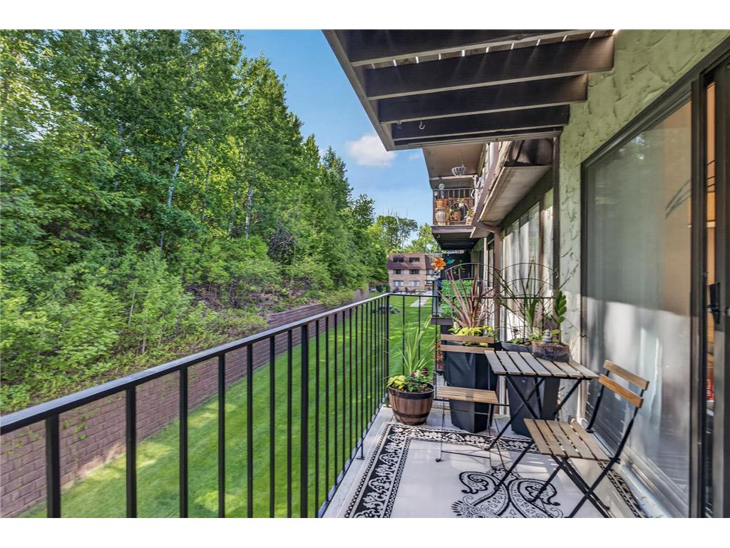 215 Barry Avenue S #216 Wayzata MN 55391 7079071 image18