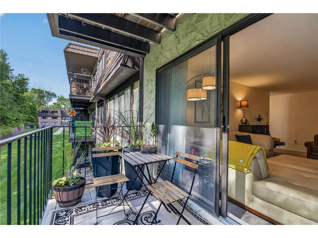 215 Barry Avenue S #216 Wayzata MN 55391 7079071 image19