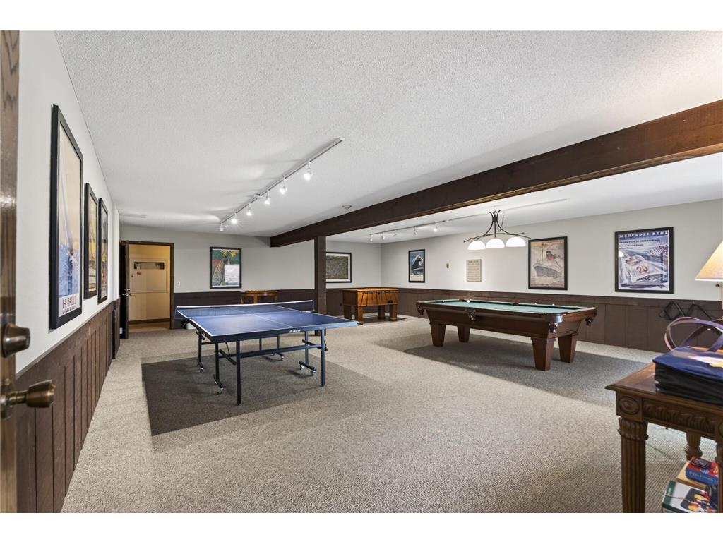 215 Barry Avenue S #216 Wayzata MN 55391 7079071 image28