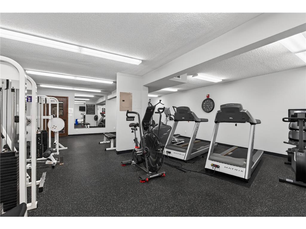 215 Barry Avenue S #216 Wayzata MN 55391 7079071 image29