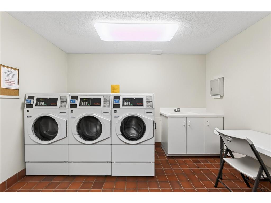 215 Barry Avenue S #216 Wayzata MN 55391 7079071 image33