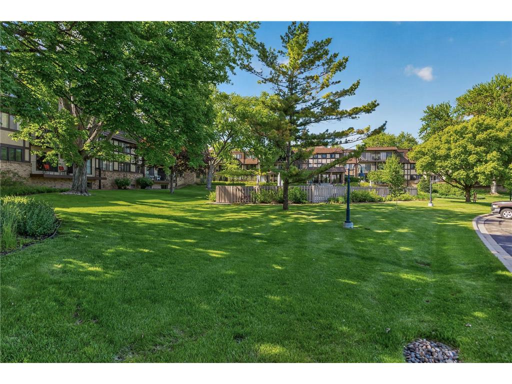 215 Barry Avenue S #216 Wayzata MN 55391 7079071 image36