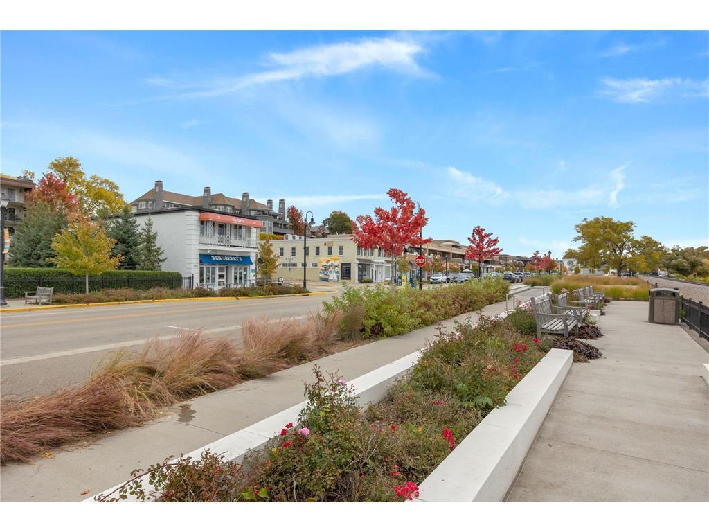 215 Barry Avenue S #216 Wayzata MN 55391 7079071 image44