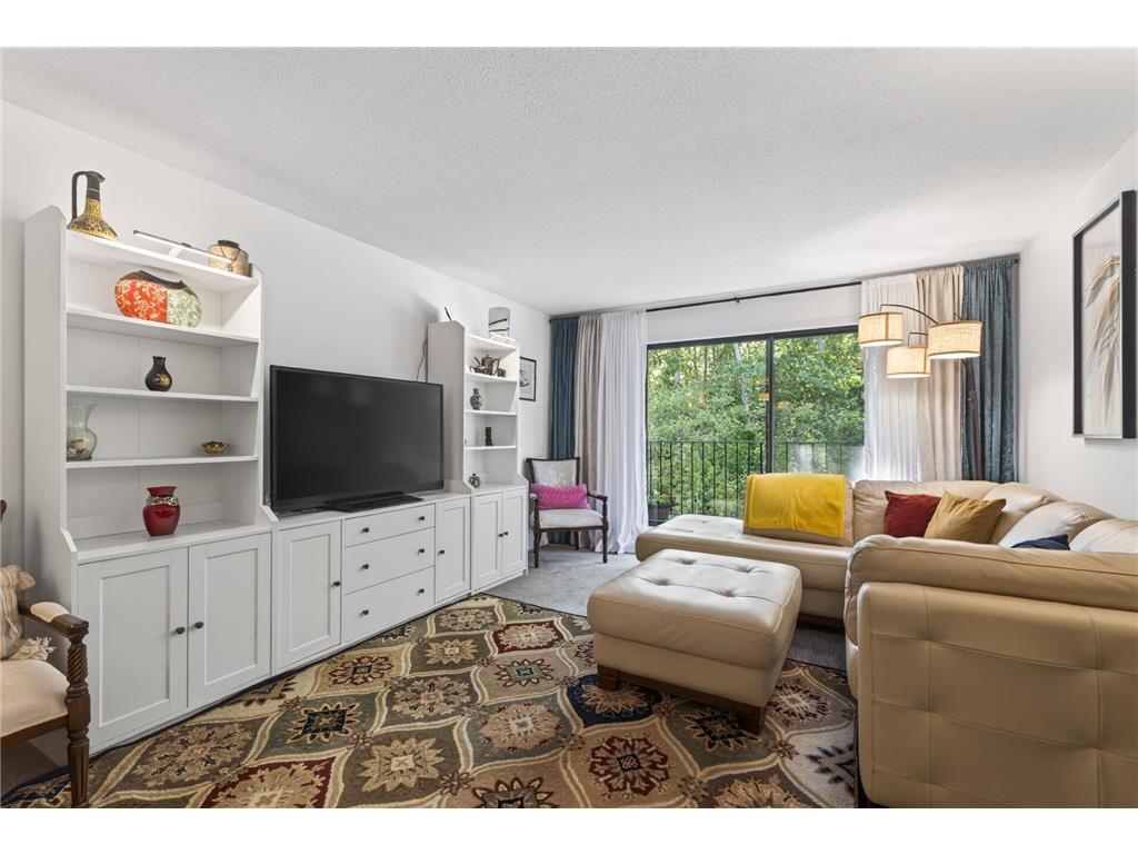 215 Barry Avenue S #216 Wayzata MN 55391 7079071 image9