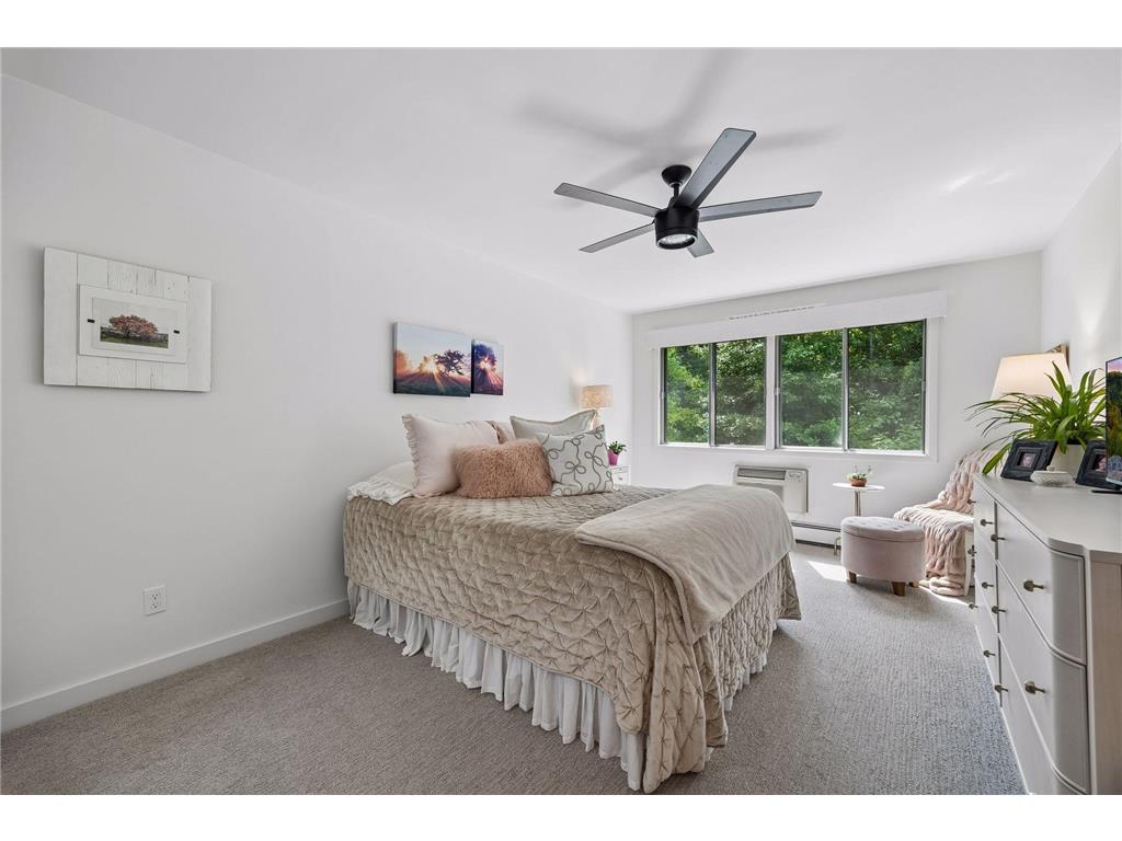 215 Barry Avenue S #218 Wayzata MN 55391 7086105 image17