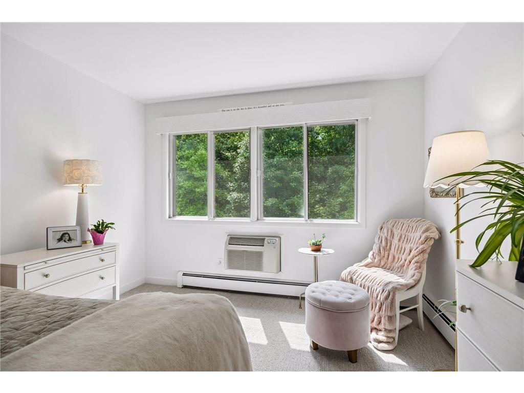215 Barry Avenue S #218 Wayzata MN 55391 7086105 image19