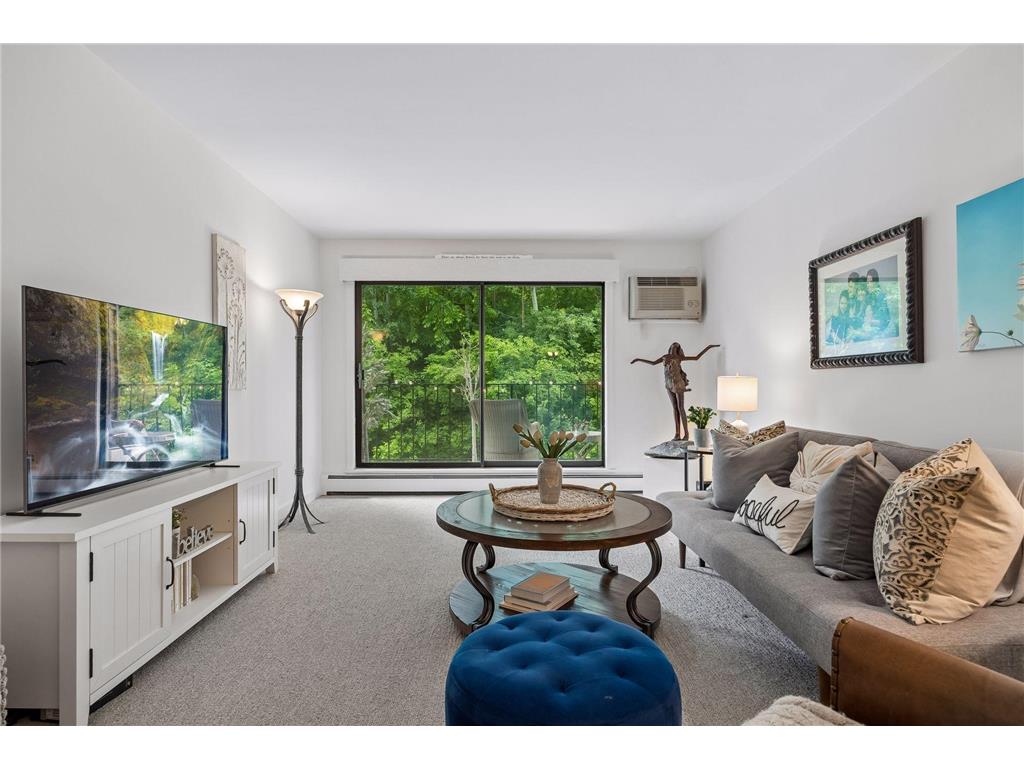 215 Barry Avenue S #218 Wayzata MN 55391 7086105 image3