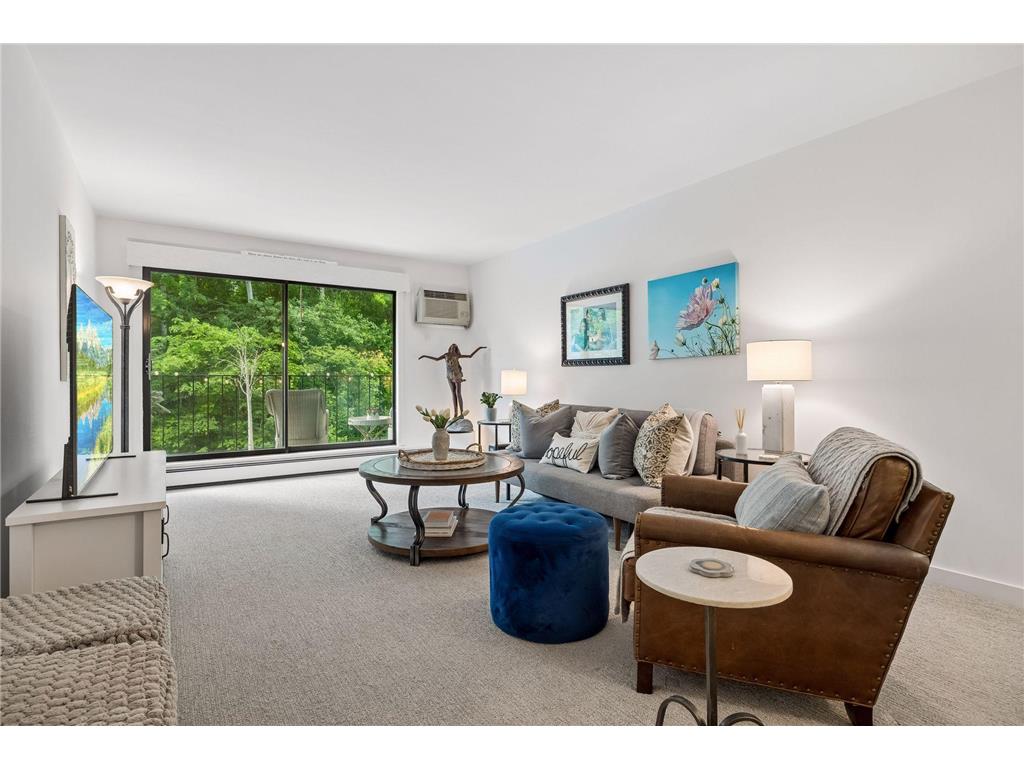 215 Barry Avenue S #218 Wayzata MN 55391 7086105 image4