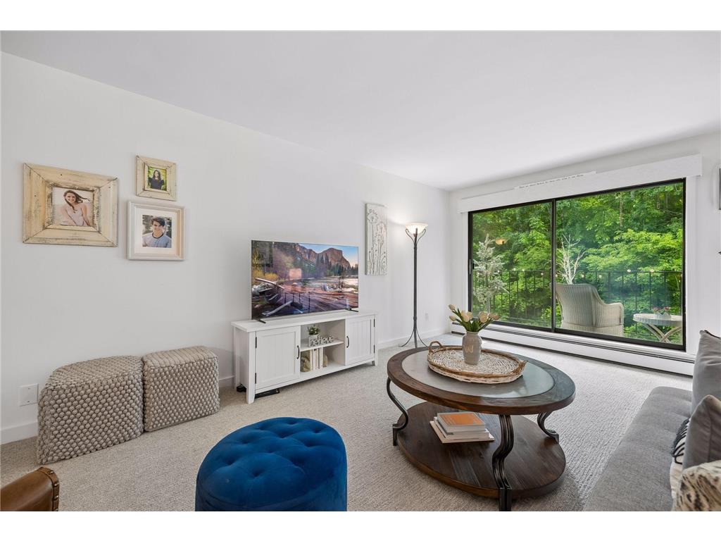 215 Barry Avenue S #218 Wayzata MN 55391 7086105 image5