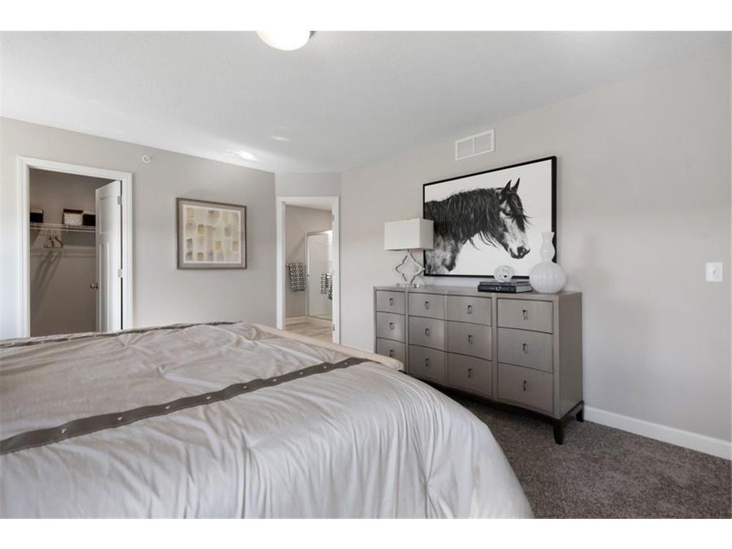 215 Huntington Drive Waconia MN 55387 7029909 image11