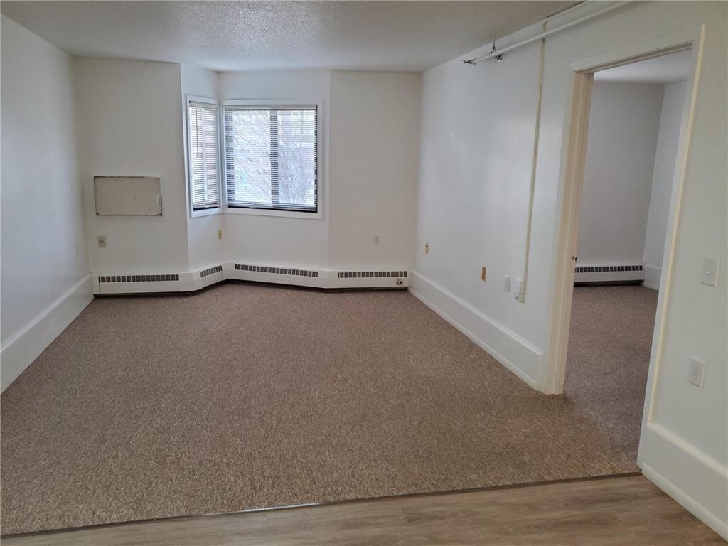 215 Linden Avenue W Winsted MN 55395 7008667 image4