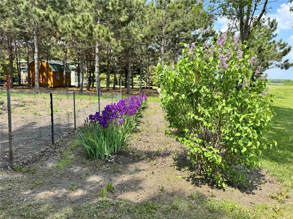 215 Marshall Avenue Henning MN 56551 7058700 image52