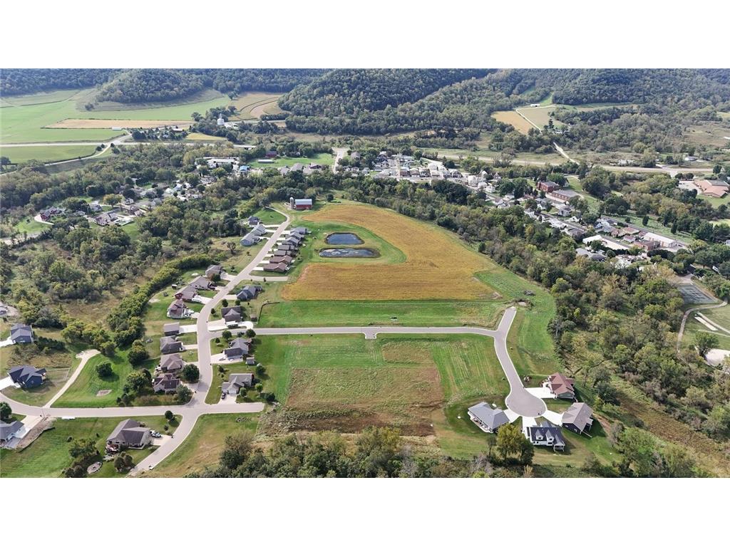 215 Pheasant Run Rollingstone MN 55969 6574809 image9