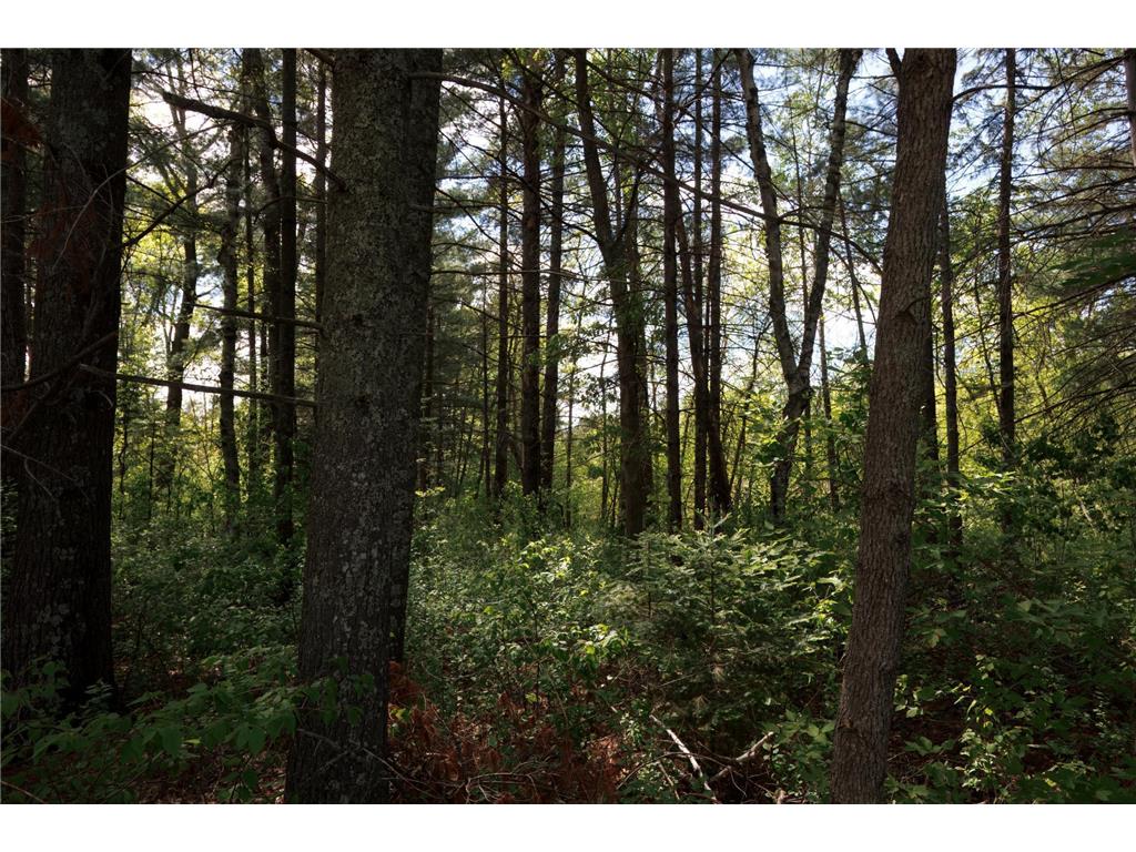 215 York Street Pine River MN 56474 6726840 image1