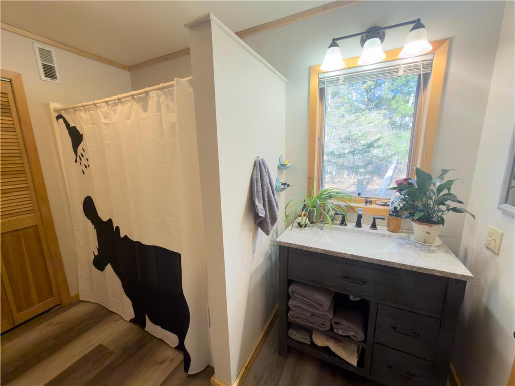 21500 Hedgerow Lane Nevis MN 56467 - Ojibway Lake 7047051 image7