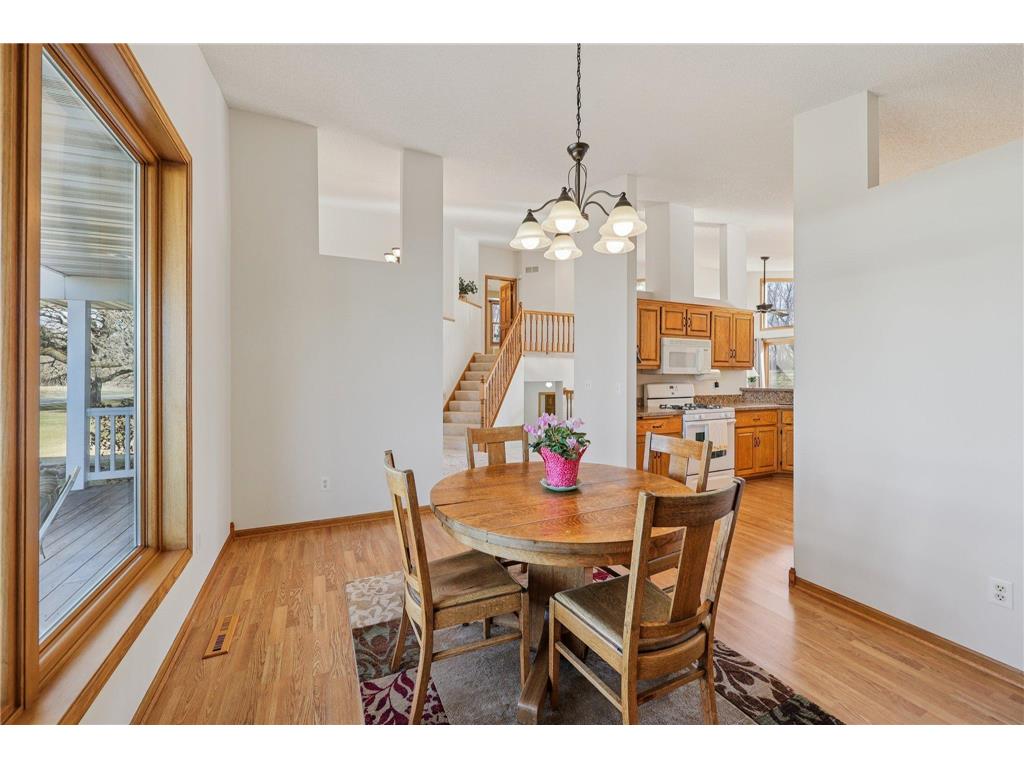 21506 Darsow Avenue Vermillion Twp MN 55031 7029245 image19