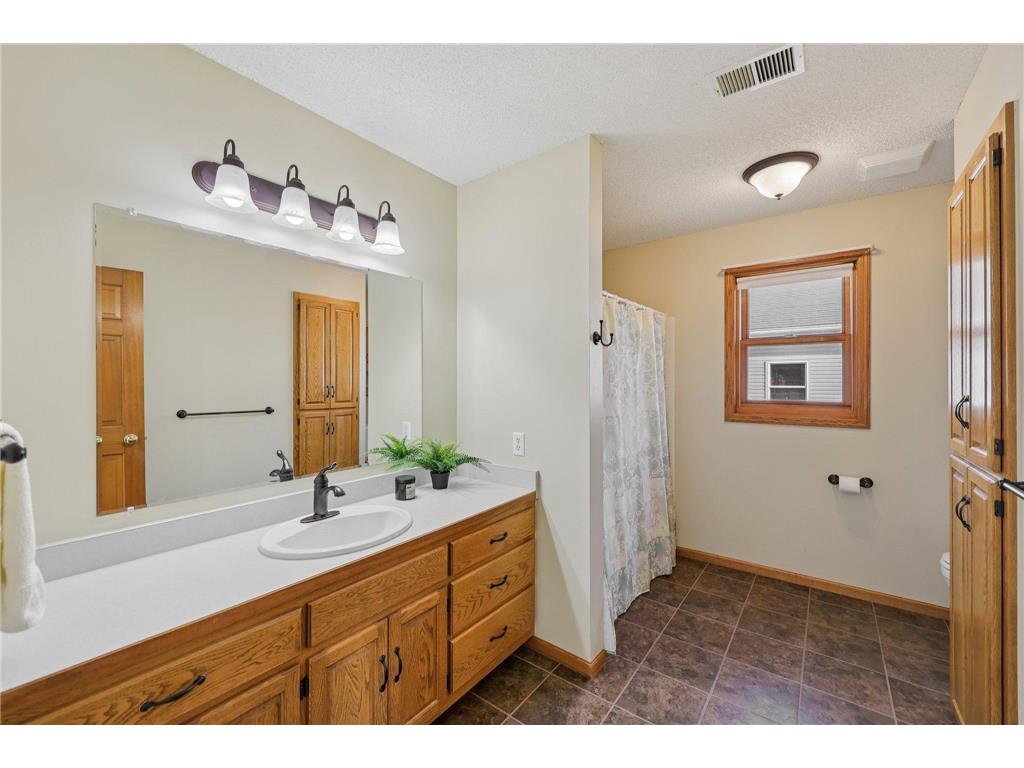 21506 Darsow Avenue Vermillion Twp MN 55031 7029245 image29