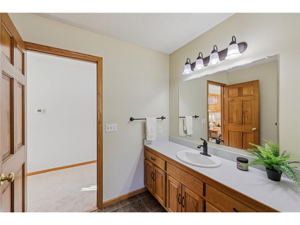 21506 Darsow Avenue Vermillion Twp MN 55031 7029245 image31