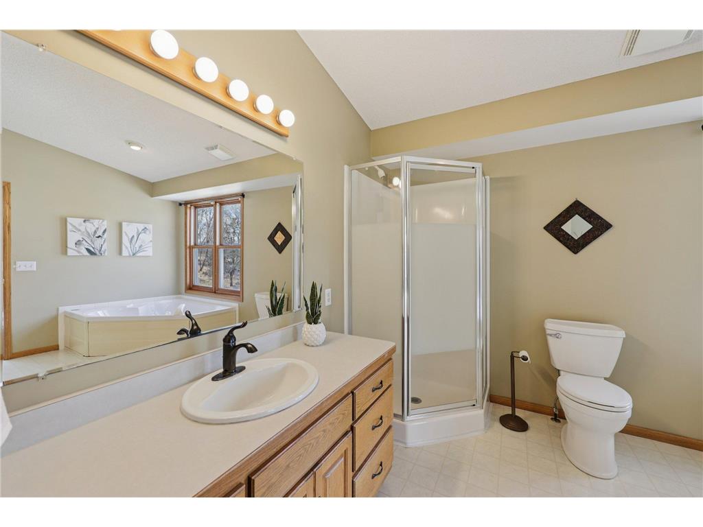 21506 Darsow Avenue Vermillion Twp MN 55031 7029245 image47