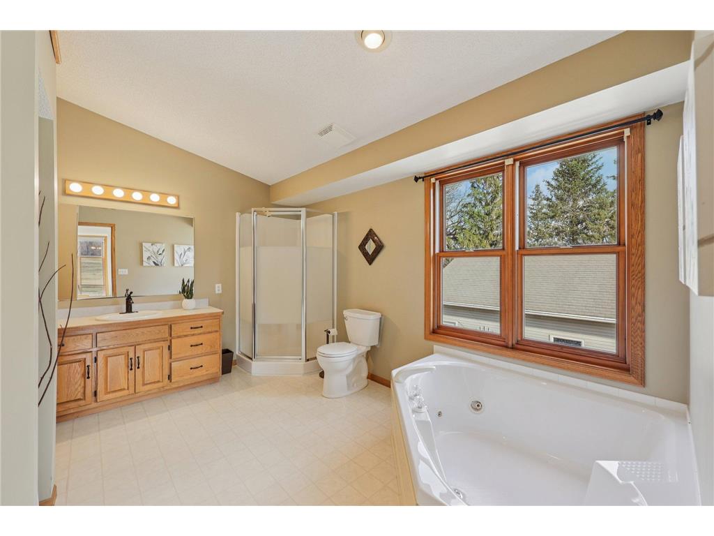 21506 Darsow Avenue Vermillion Twp MN 55031 7029245 image50