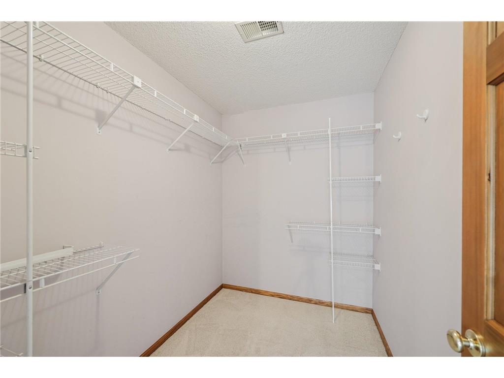 21506 Darsow Avenue Vermillion Twp MN 55031 7029245 image65