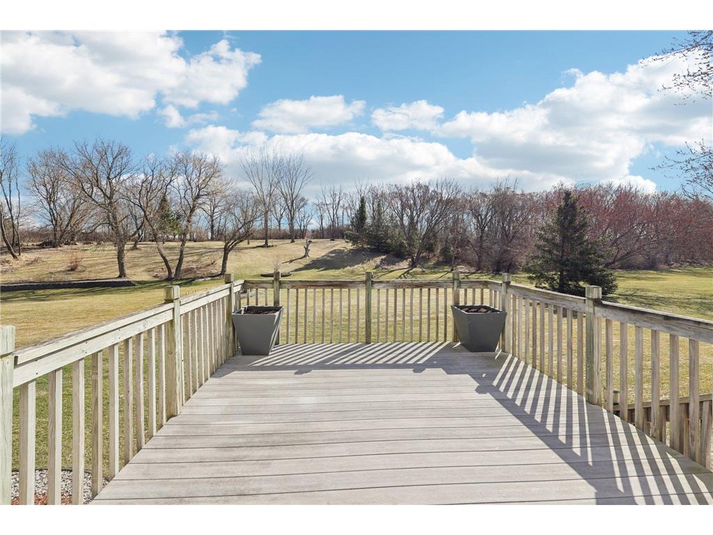 21506 Darsow Avenue Vermillion Twp MN 55031 7029245 image83