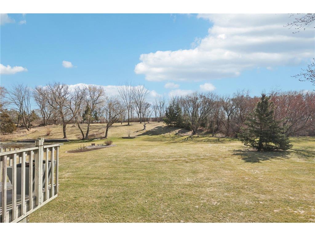 21506 Darsow Avenue Vermillion Twp MN 55031 7029245 image86
