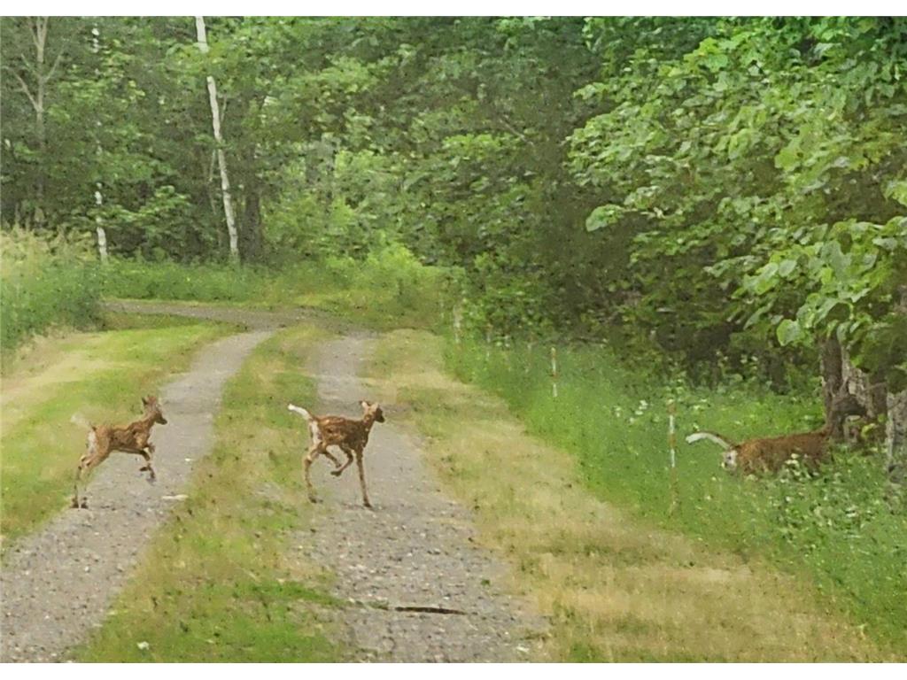 21509 County Road 22 Brainerd MN 56401 7079494 image33