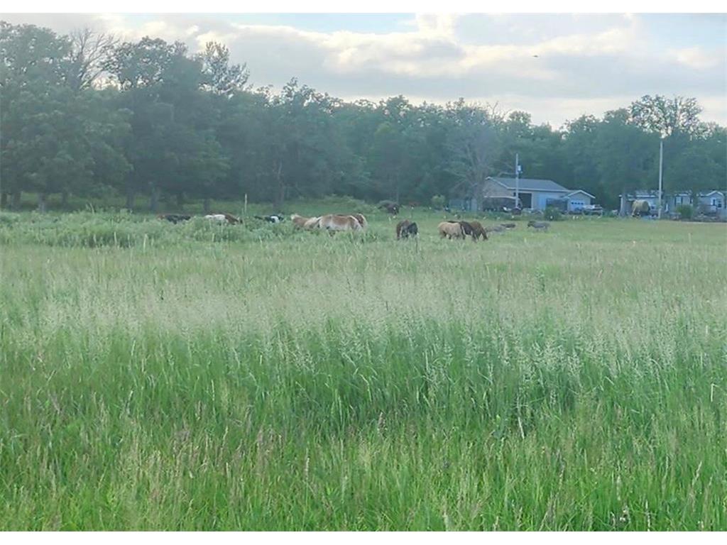 21509 County Road 22 Brainerd MN 56401 7079494 image34