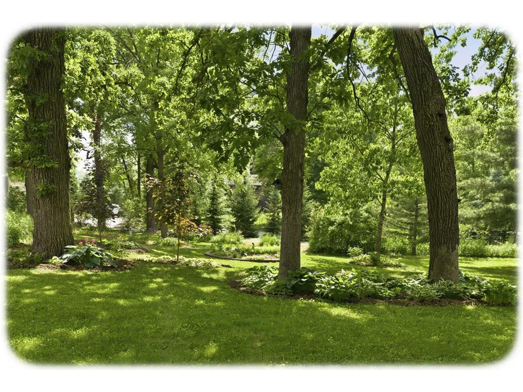 21527 Homestead Trail Corcoran MN 55340 7086076 image58