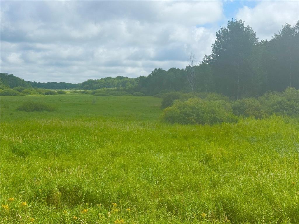 000 370th Avenue Richardson Twp MN 56338 6770371 image1