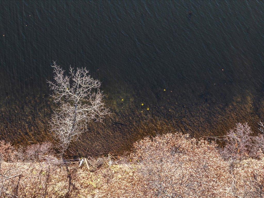 21544 Bluegill Road Ironton MN 56455 - Little Rabbit 6813700 image10