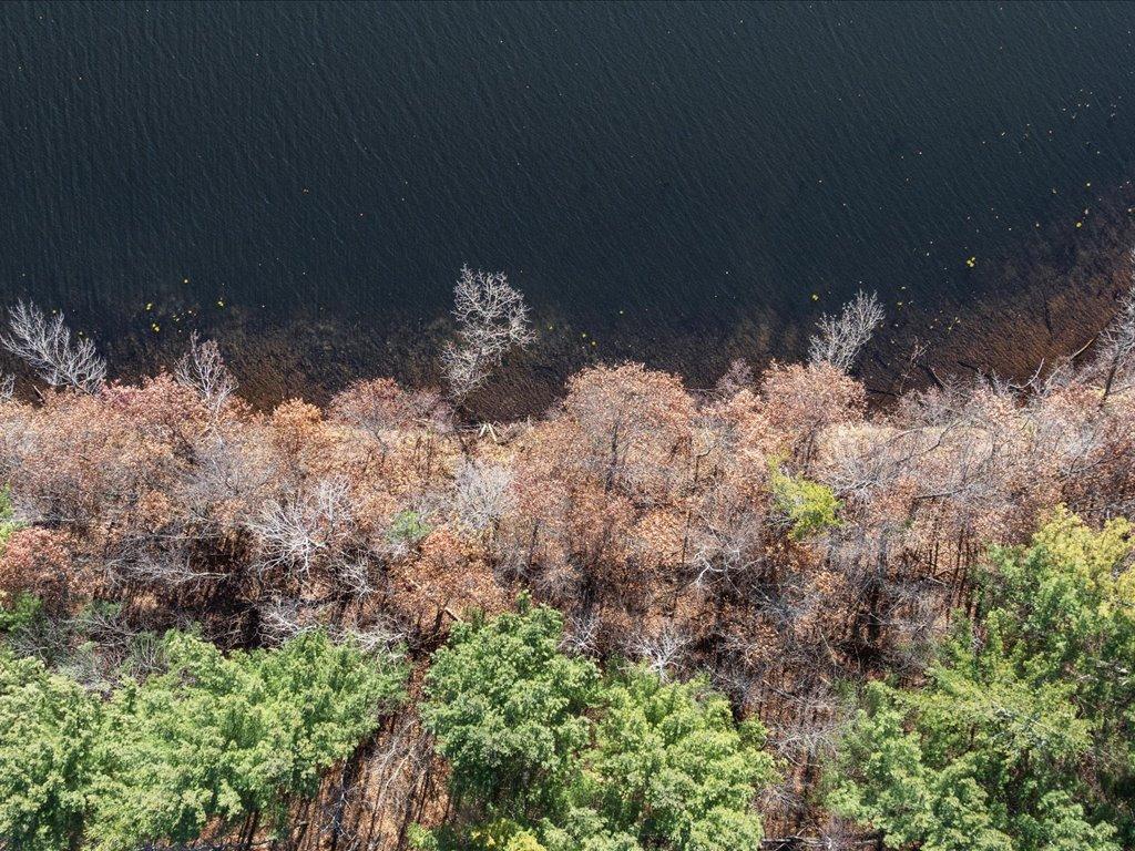 21544 Bluegill Road Ironton MN 56455 - Little Rabbit 6813700 image9